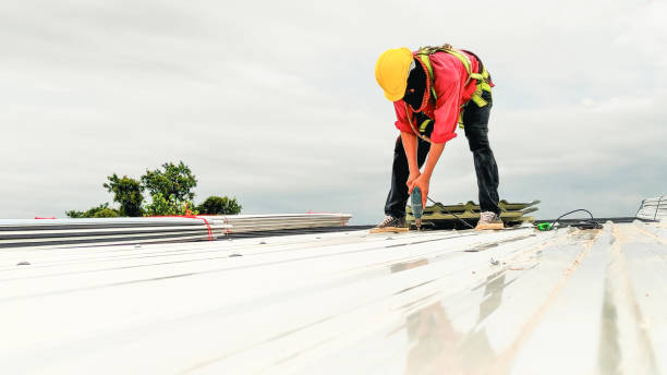 Best Asphalt Shingle Roofing  in Electra, TX